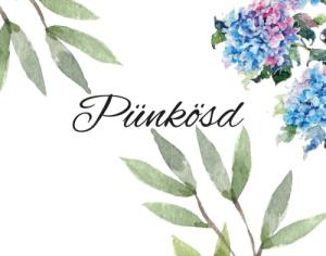 Pünkösdi kiadvány